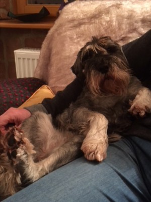 472f4f02dfaf.jpg (62.93 КБ) 5142 просмотра не поеду я никуда....на фиг мне ваша Италия....У меня тут любящий папа.....совсем скоро он поймёт что он без меня не может)))