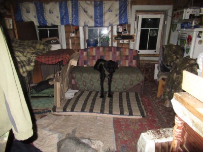 IMG_7320.JPG (154.5 КБ) 4719 просмотров После вечерней прогулки