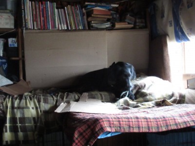 IMG_7324.JPG (127.41 КБ) 4697 просмотров на заднем плане закрытая библиотека))