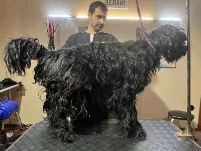 было.jpeg (140.02 КБ) 31547 просмотров было