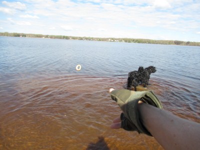 IMG_7707.JPG (126.91 КБ) 7737 просмотров Начали!!