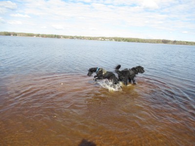 IMG_7708.JPG (131.04 КБ) 7723 просмотра сто из ста!!! Рафа победила)))