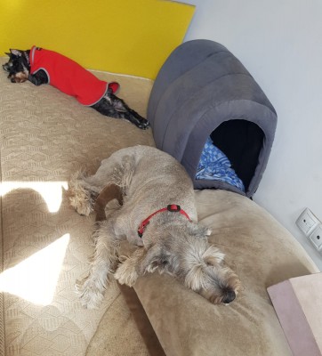 IMG-20230703-WA0018.jpg (212.92 КБ) 4860 просмотров IMG-20230703-WA0018.jpg