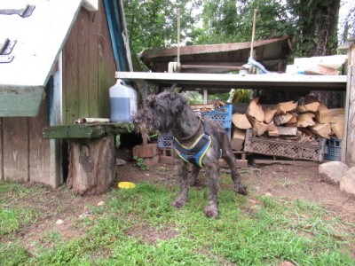 IMG_8536.JPG (206.65 КБ) 11059 просмотров ошеломлён,конечно,очень(