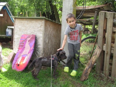 IMG_8540.JPG (194.76 КБ) 11059 просмотров Пытаетсянюхатьчеловека,но,пока, плохо получается(