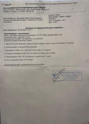 IMG-20230812-WA0023.jpg (101.09 КБ) 21912 просмотров IMG-20230812-WA0023.jpg