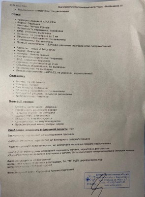 IMG-20230812-WA0022.jpg (117.9 КБ) 21908 просмотров IMG-20230812-WA0022.jpg