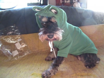 IMG_8715.JPG (118.37 КБ) 25099 просмотров ну,...допустим -КВА!