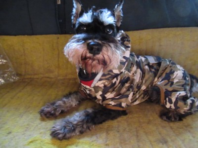 IMG_8720.JPG (128.97 КБ) 24613 просмотров Ну и вкус у вас....что мне теперь..строем ходить?