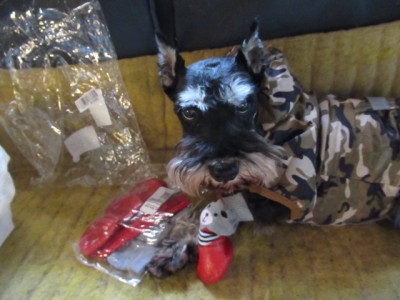 IMG_8722.JPG (127.04 КБ) 24613 просмотров мда....камуфляж и красные лаковые ботиночки с белыми носочками....Похоже крыша ваша, маменька, съехамши...