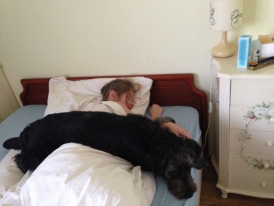 IMG_5655.JPG (155.16 КБ) 7605 просмотров На страже сна