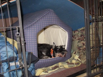 IMG_8767.JPG (168.38 КБ) 23187 просмотров Это дом гнома, и гном-дома))) Отдыхаем днём от трудов праведных))