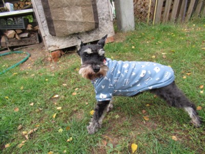 IMG_8772.JPG (211.06 КБ) 23187 просмотров Шикарная толстовочка от Ольги) Тютелька в тютельку!))