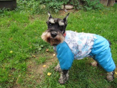 IMG_8781.JPG (206.65 КБ) 23453 просмотра Шикарные комбезы!! тёплые и удобные!! Точно на Фабуську!!!