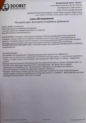 IMG-20231024-WA0003.jpg (96.63 КБ) 17077 просмотров IMG-20231024-WA0003.jpg