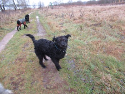 IMG_9124.JPG (171.73 КБ) 7253 просмотра Здравствуйте)) Я-Чапа))