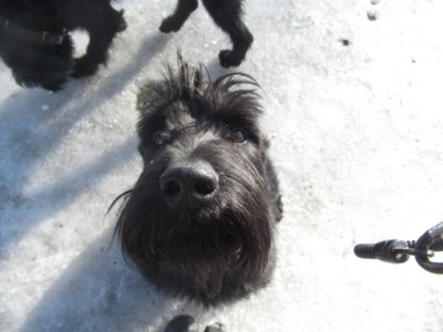 IMG_9624.JPG (111.45 КБ) 11711 просмотров Где же мои папа и мама?? вы не видели??