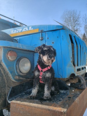 WhatsApp Image 2024-03-08 at 12.05.31.jpeg (125.96 КБ) 1343 просмотра WhatsApp Image 2024-03-08 at 12.05.31.jpeg