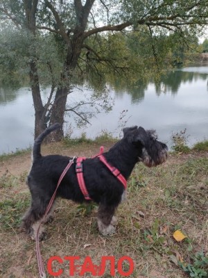 IMG-20240928-WA0005.jpg (94.57 КБ) 716 просмотров IMG-20240928-WA0005.jpg