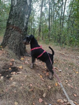 IMG-20240928-WA0004.jpg (115.01 КБ) 716 просмотров IMG-20240928-WA0004.jpg