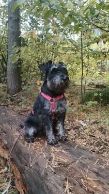 IMG-20240928-WA0003.jpg (166.98 КБ) 716 просмотров IMG-20240928-WA0003.jpg