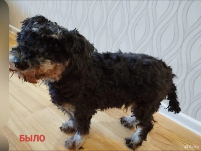 IMG-20240928-WA0007.jpg (70.5 КБ) 738 просмотров IMG-20240928-WA0007.jpg