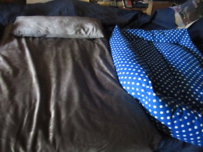 IMG_0370.JPG (136.52 КБ) 22622 просмотра сразу две новенькие лежаночки!Спасибо!!