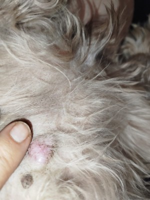 IMG-20250913-WA0021.jpg (169.83 КБ) 1448 просмотров IMG-20250913-WA0021.jpg