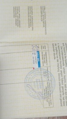 1758211676388.jpg