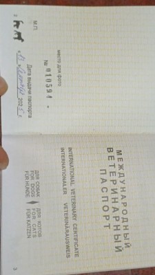 1758211432901.jpg