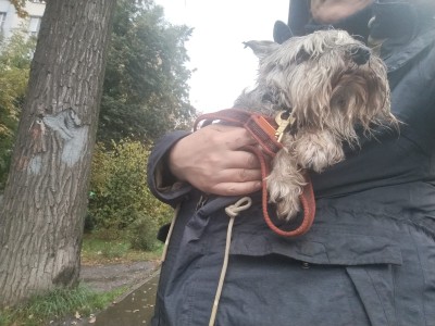 IMG-20250927-WA0011.jpg (213.83 КБ) 1043 просмотра IMG-20250927-WA0011.jpg