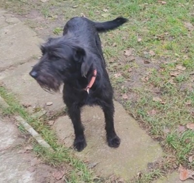 Красота красивая)