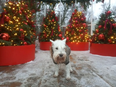 WhatsApp Image 2025-12-16 at 18.13.22.jpeg