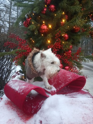 WhatsApp Image 2025-12-16 at 18.07.27.jpeg