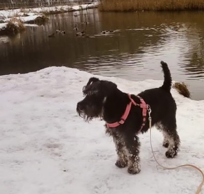 Screenshot_2.jpg (52.23 КБ) 735 просмотров Screenshot_2.jpg