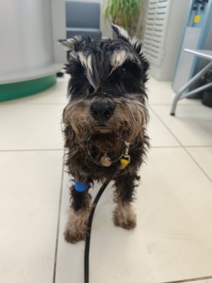 IMG_20260317_131339 (1).jpg