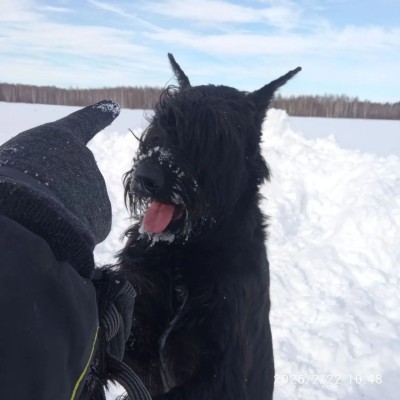 photo_2026-04-02_19-30-43 (2).jpg