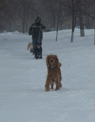 Прогулка 24 марта 2014