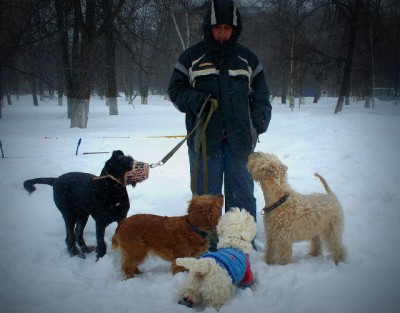 Раздача вкусняшек