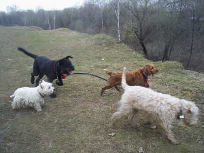 Дружная компания