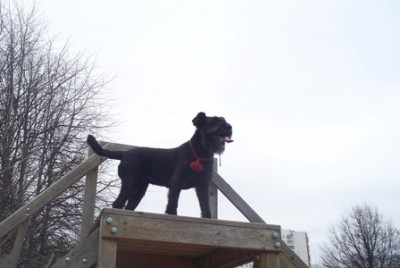 Любительница хождения по лестницам