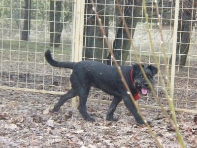 Красавица Джессика за минуту до неудачного побега