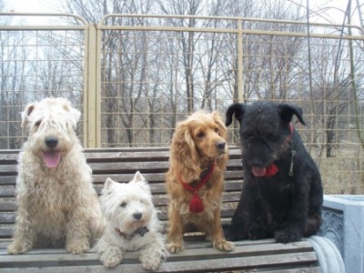 И еще раз беседа на тему поведения, Джессика почти раскаялась... но почти