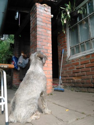 tUV097veBvc.jpg (201.58 КБ) 4516 просмотров Даже хотел заночевать на улице! В ожидании...