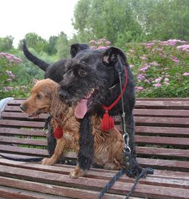 джесулька с леруськой.jpeg