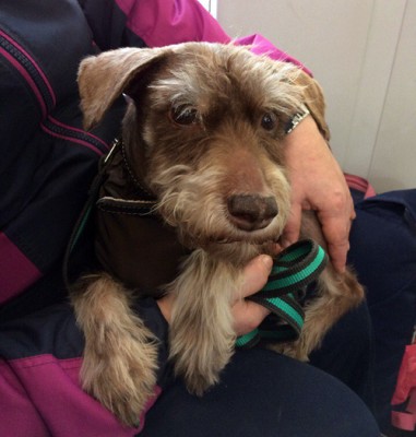 2oDvEstNPTk.jpg (164.94 КБ) 6606 просмотров На ручках в ожидании очереди на анализы