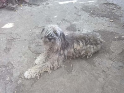 41141715_722723538074677_6140200553348595712_n.jpg (98.22 КБ) 4686 просмотров Нашла еще старое фото .