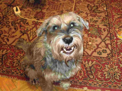 IMG_0010.jpg (227.94 КБ) 2188 просмотров IMG_0010.jpg