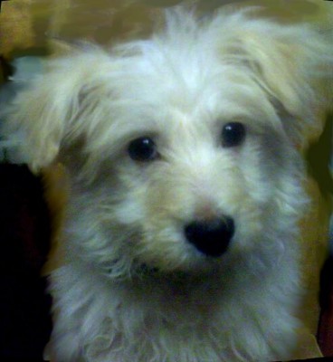 ABCD0007.JPG (58.19 КБ) 2188 просмотров ABCD0007.JPG