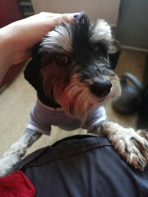 f2kxVrdcH6I.jpg (219.29 КБ) 3290 просмотров на ручки пусти. Это не вопрос, а утверждение.